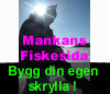 Bygg_din_egen_skrylla!